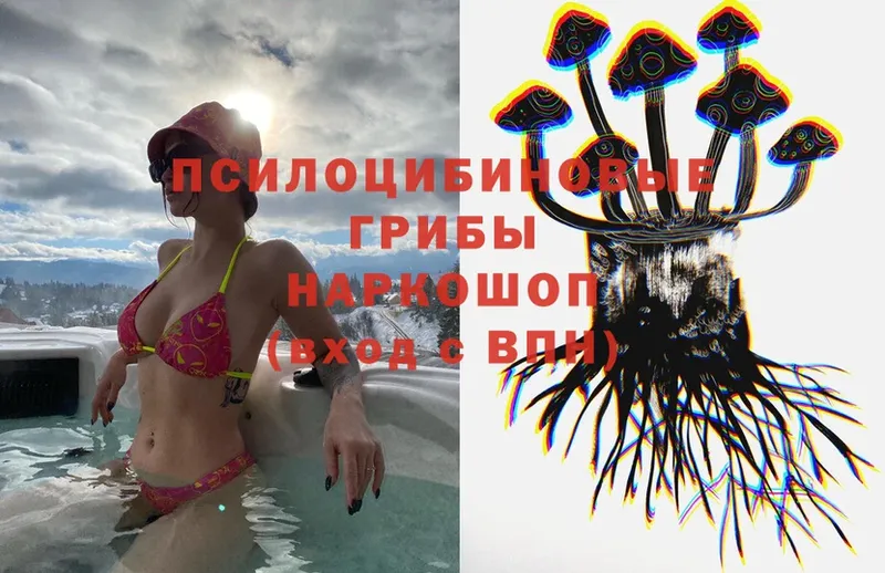 Галлюциногенные грибы MAGIC MUSHROOMS  shop клад  Люберцы 